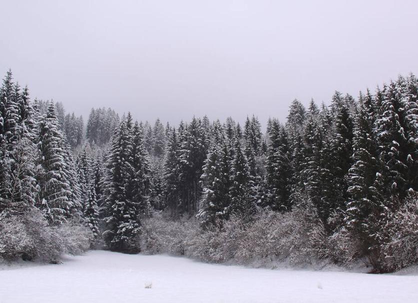Dış görünüm Fotoğraf
