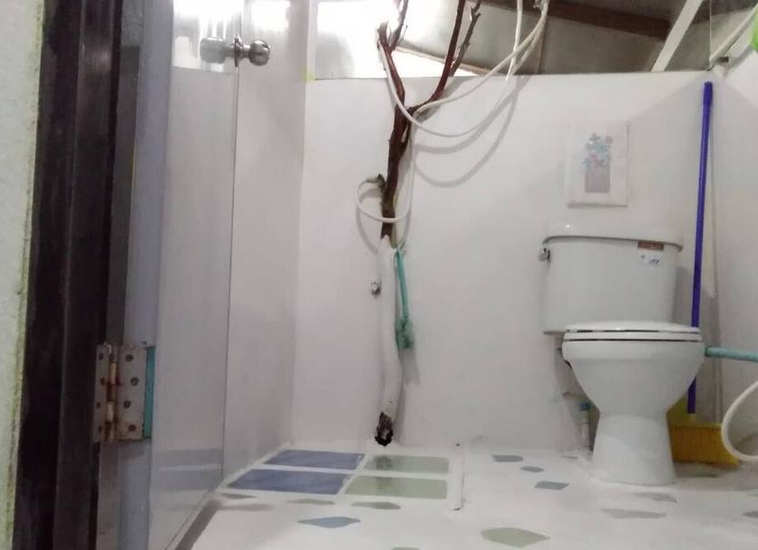 Banyo Fotoğraf