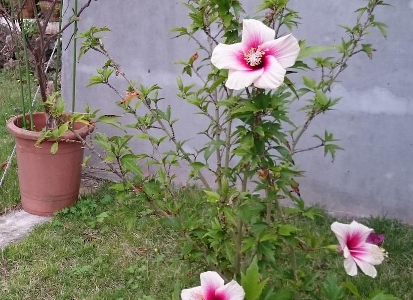 Dış görünüm Fotoğraf