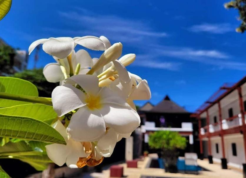 Dış görünüm Fotoğraf