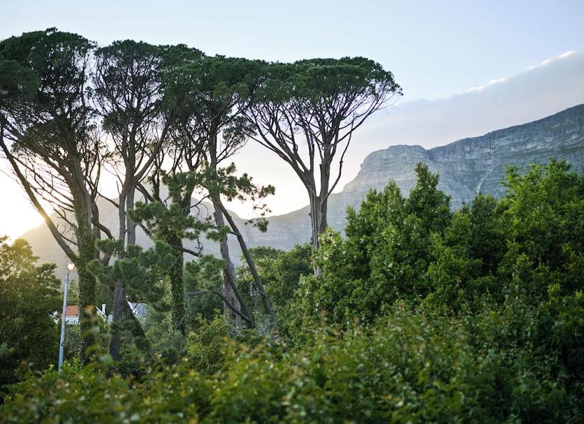Dış görünüm Fotoğraf