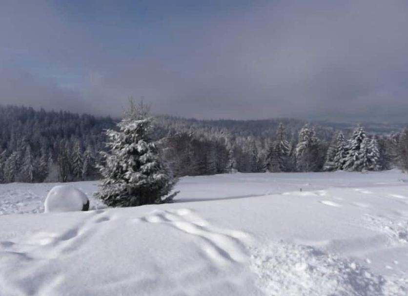 Dış görünüm Fotoğraf