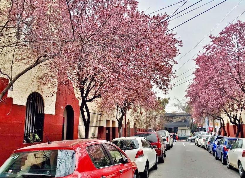 Dış görünüm Fotoğraf