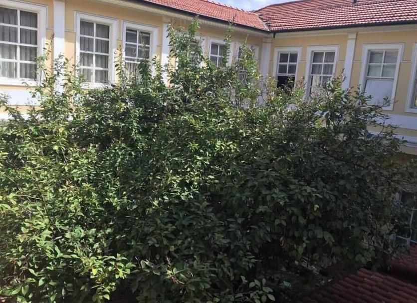 Dış görünüm Fotoğraf