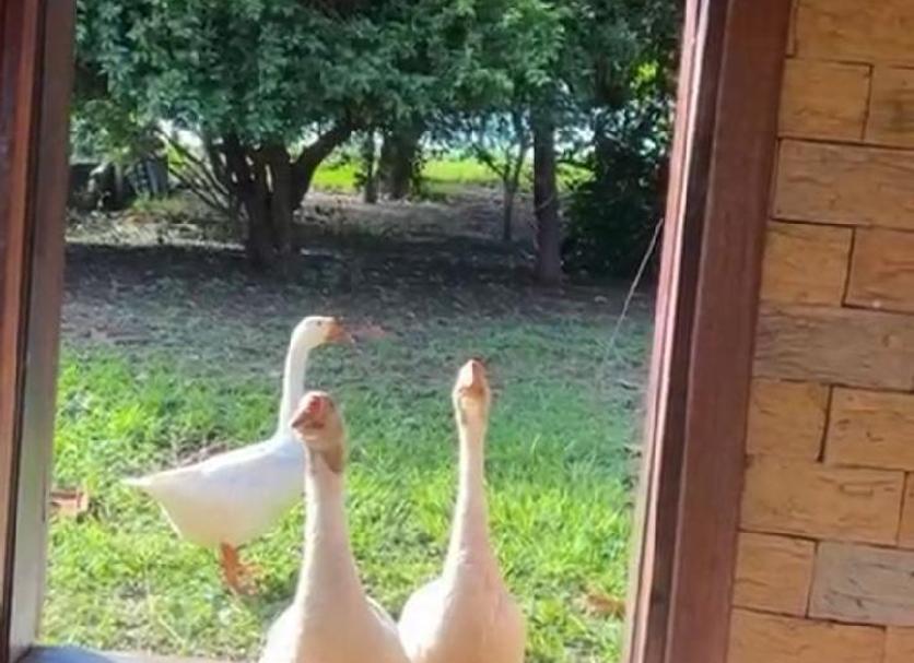 Diğer Fotoğraf