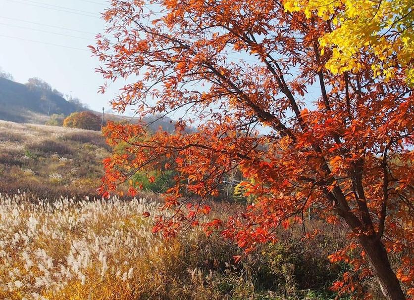 Dış görünüm Fotoğraf