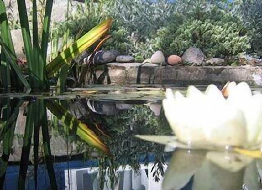 Dış görünüm Fotoğraf