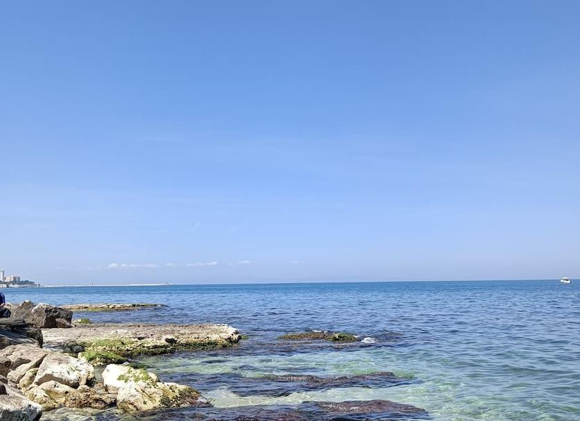 Diğer Fotoğraf