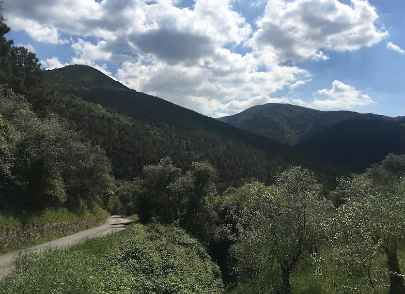 Diğer Fotoğraf