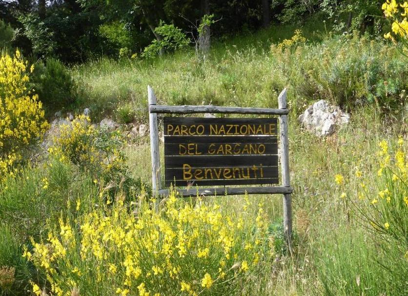 Dış görünüm Fotoğraf