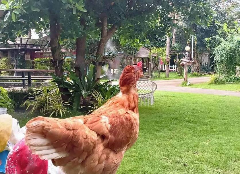 Diğer Fotoğraf