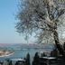 Dış görünüm