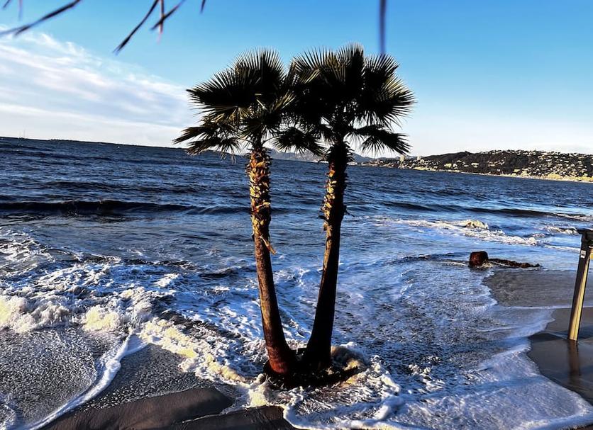 Diğer Fotoğraf