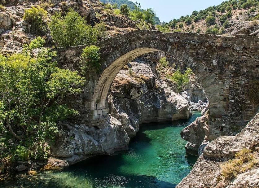 Diğer Fotoğraf