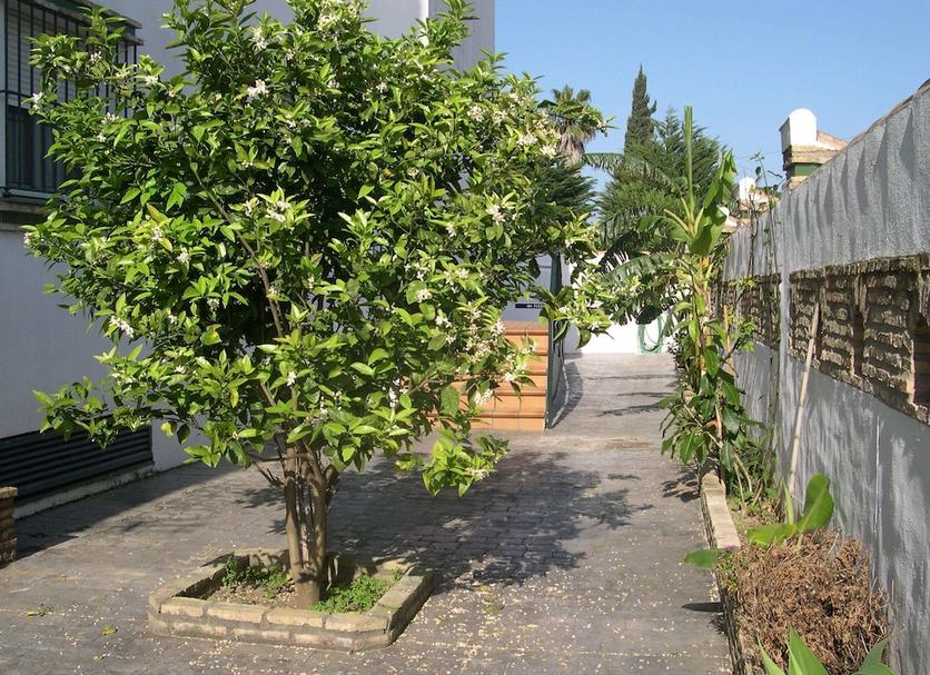 Dış görünüm Fotoğraf