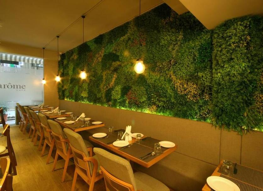 Restoran Fotoğraf