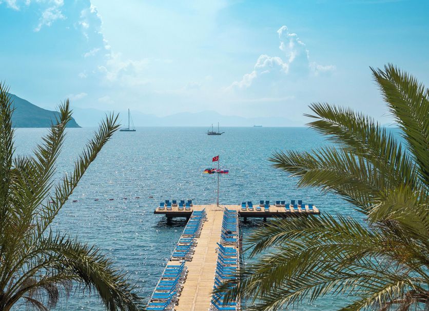 Diğer Fotoğraf