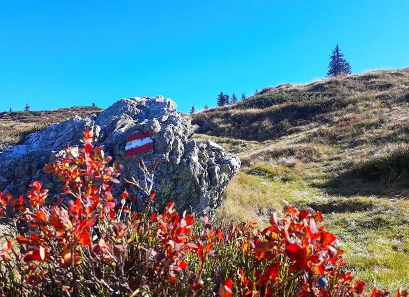Diğer Fotoğraf