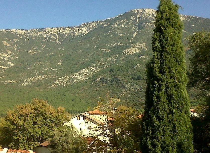 Dış görünüm Fotoğraf