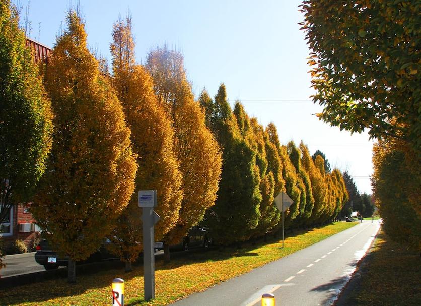 Dış görünüm Fotoğraf