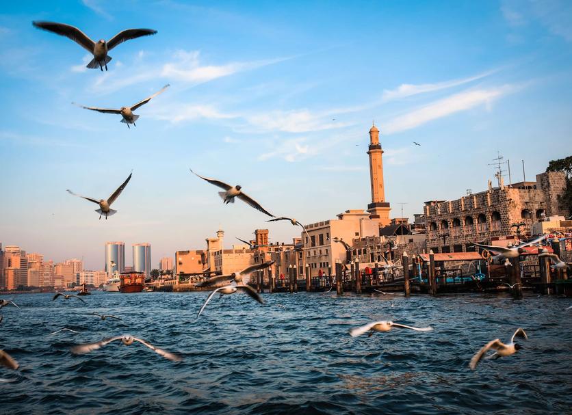 Diğer Fotoğraf