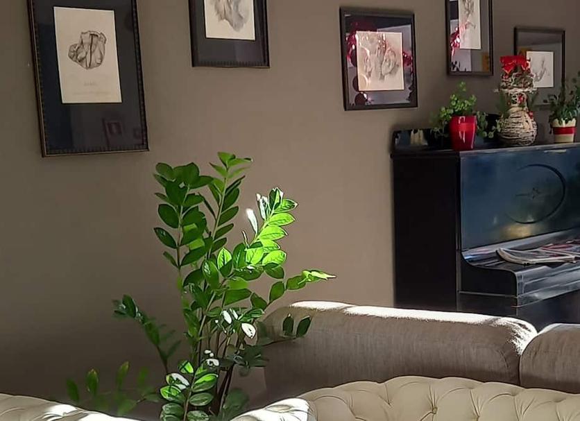 Oda olanağı Fotoğraf