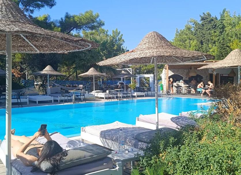 Diğer Fotoğraf