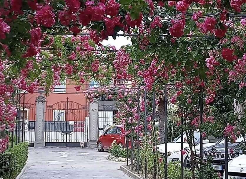 Dış görünüm Fotoğraf