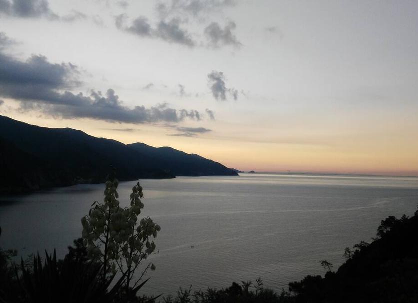 Diğer Fotoğraf