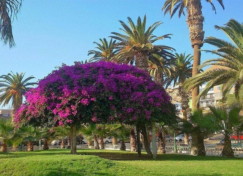 Dış görünüm Fotoğraf