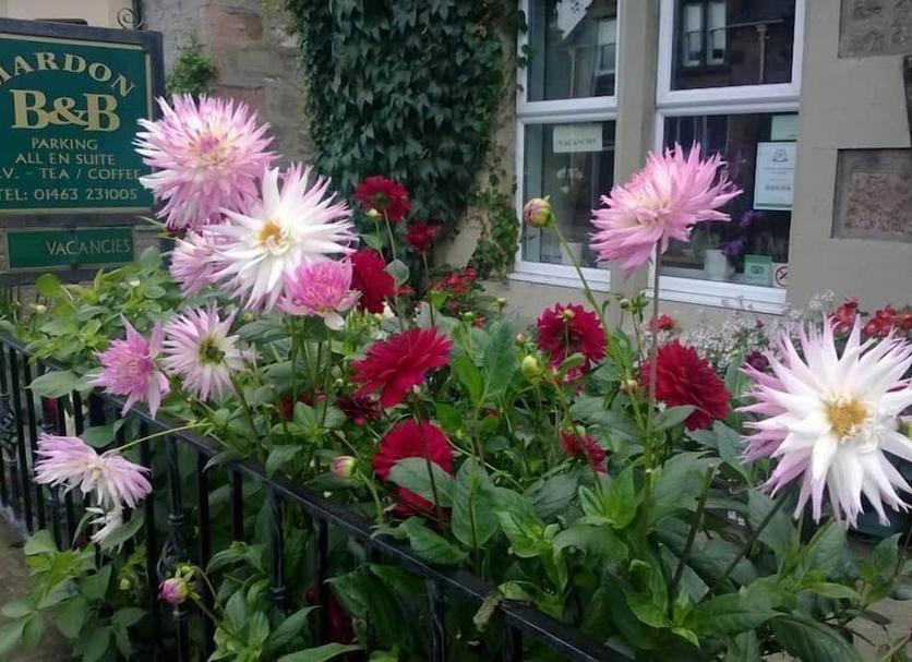Dış görünüm Fotoğraf