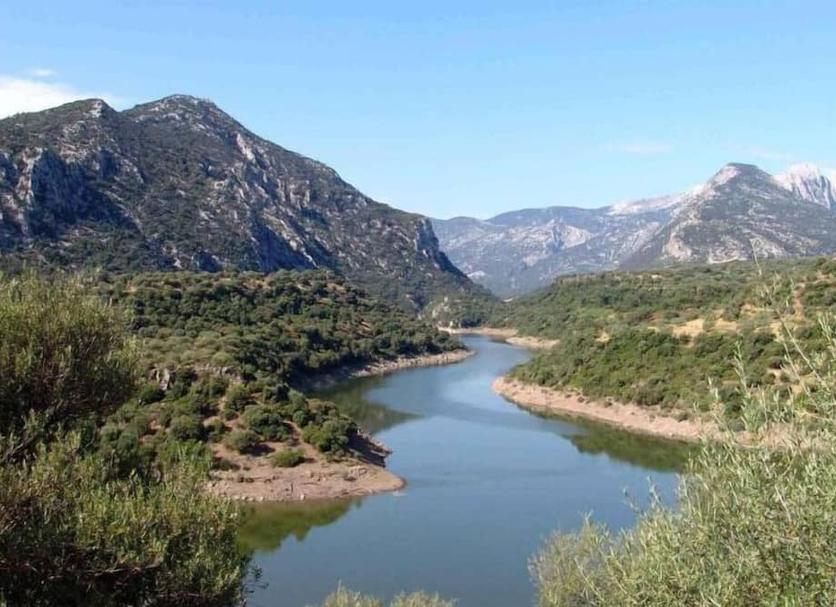 Diğer Fotoğraf
