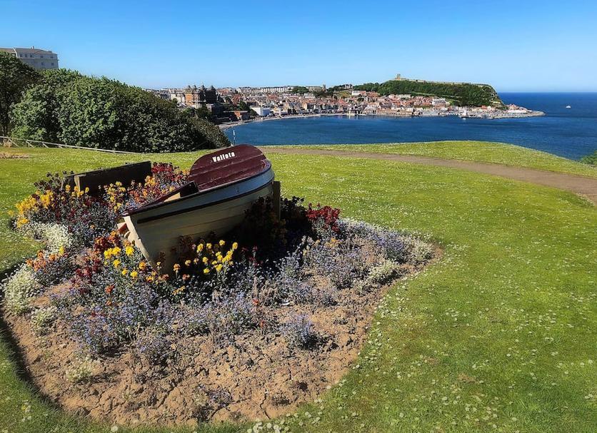 Diğer Fotoğraf