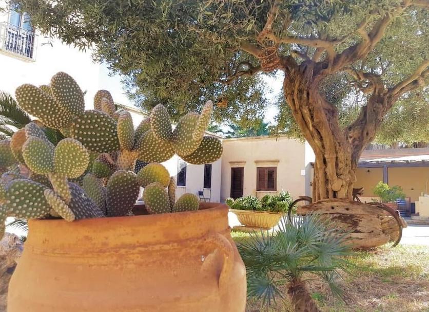 Dış görünüm Fotoğraf