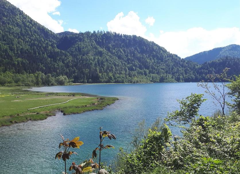 Diğer Fotoğraf