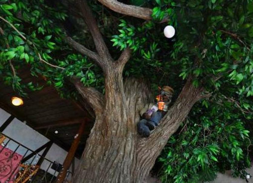 Dış görünüm Fotoğraf