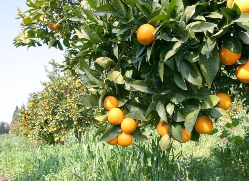 Dış görünüm Fotoğraf