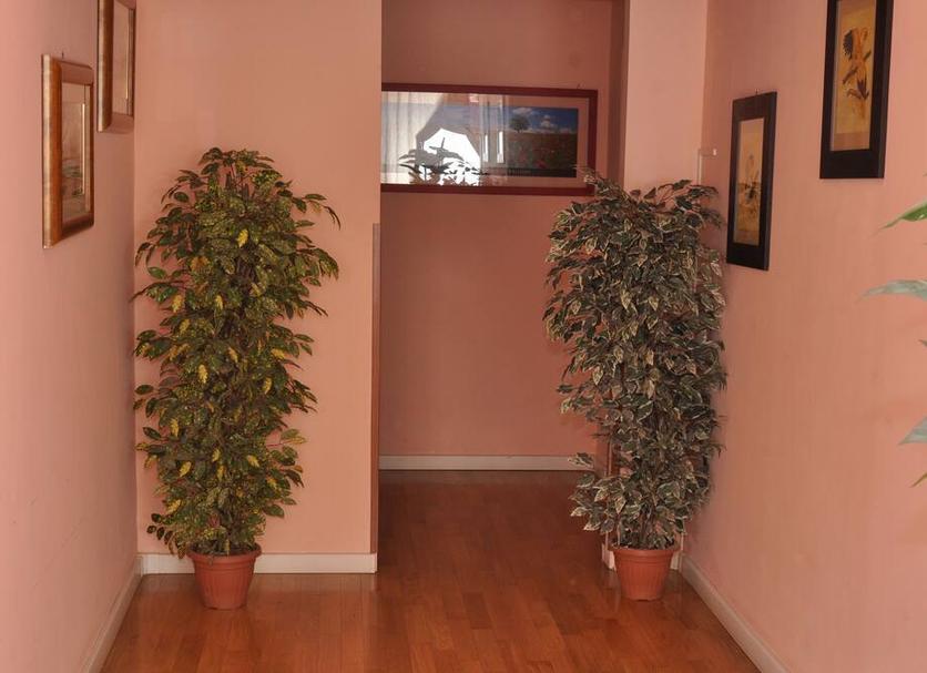 Diğer Fotoğraf