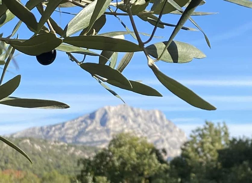 Dış görünüm Fotoğraf