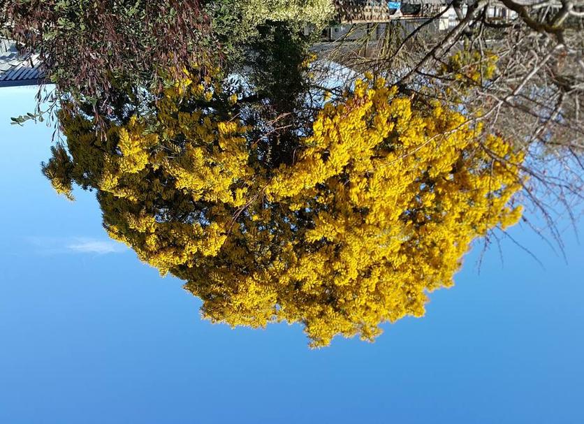 Dış görünüm Fotoğraf