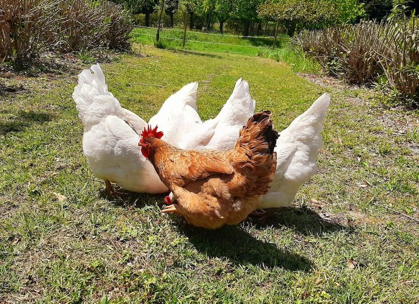 Diğer Fotoğraf