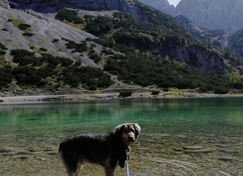 Diğer Fotoğraf