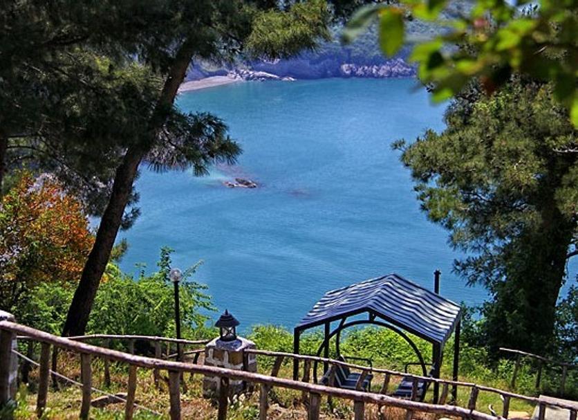 Diğer Fotoğraf