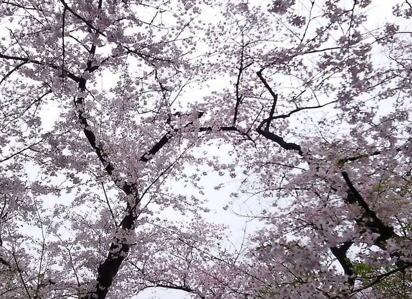 Dış görünüm Fotoğraf