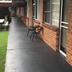 Veranda