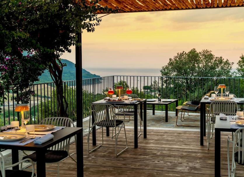 Restoran Fotoğraf