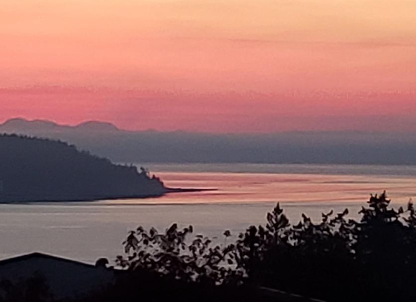 Diğer Fotoğraf