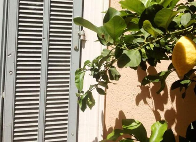 Dış görünüm Fotoğraf