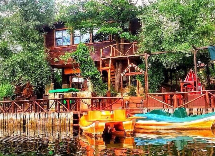 Diğer Fotoğraf