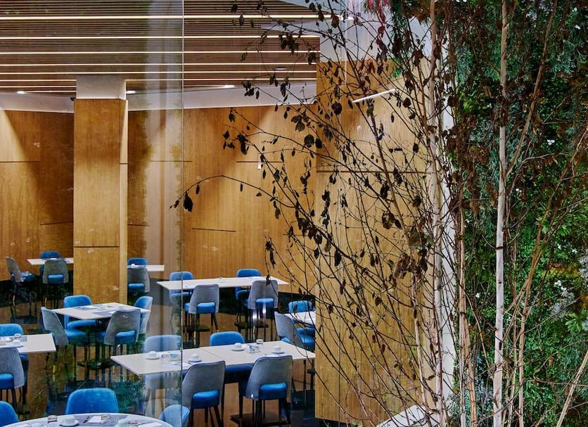 Restoran Fotoğraf